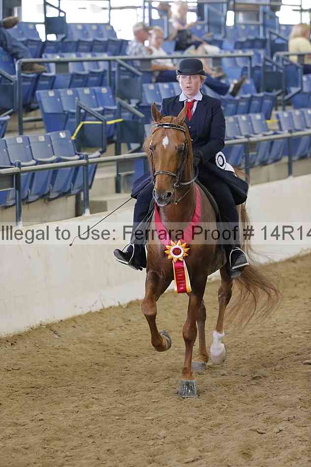 Proof 14r14_4819