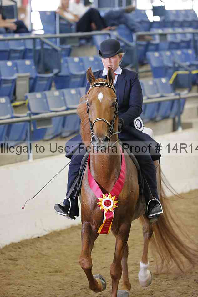 Proof 14r14_4820