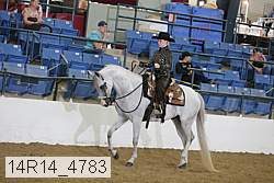 14r14_4783 proof