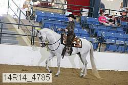 14r14_4785 proof