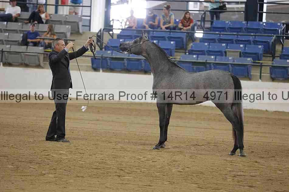 Proof 14r14_4971