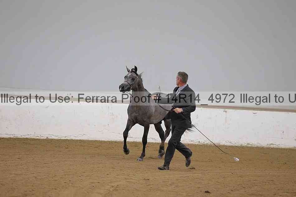 Proof 14r14_4972