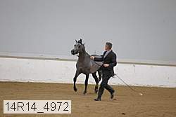 14r14_4972 proof