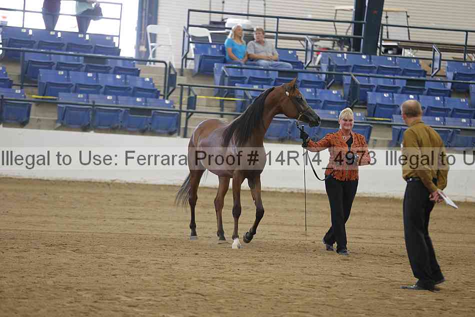 Proof 14r14_4973