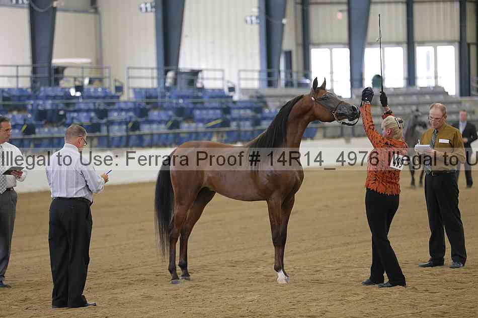 Proof 14r14_4976
