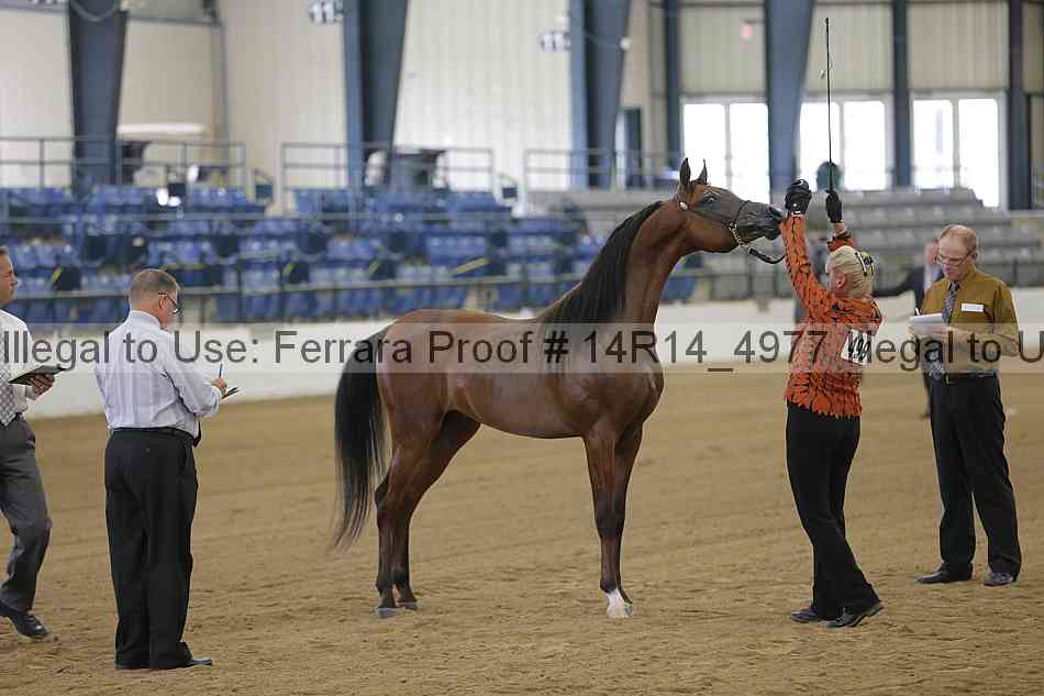 Proof 14r14_4977