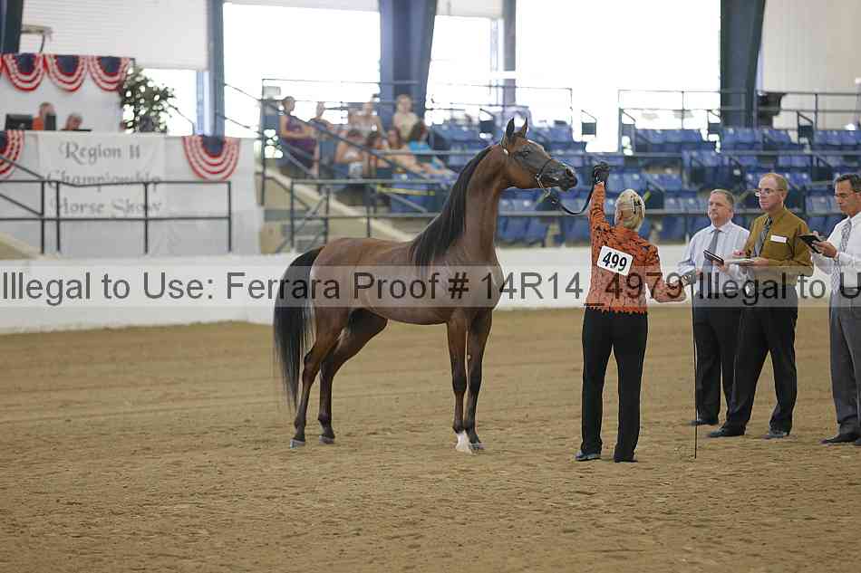 Proof 14r14_4979