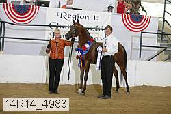 14r14_4983 proof