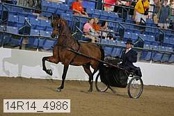 14r14_4986 proof