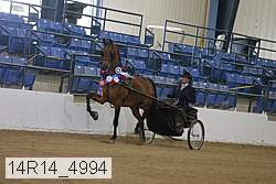 14r14_4994 proof