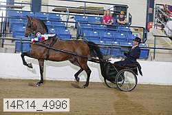 14r14_4996 proof