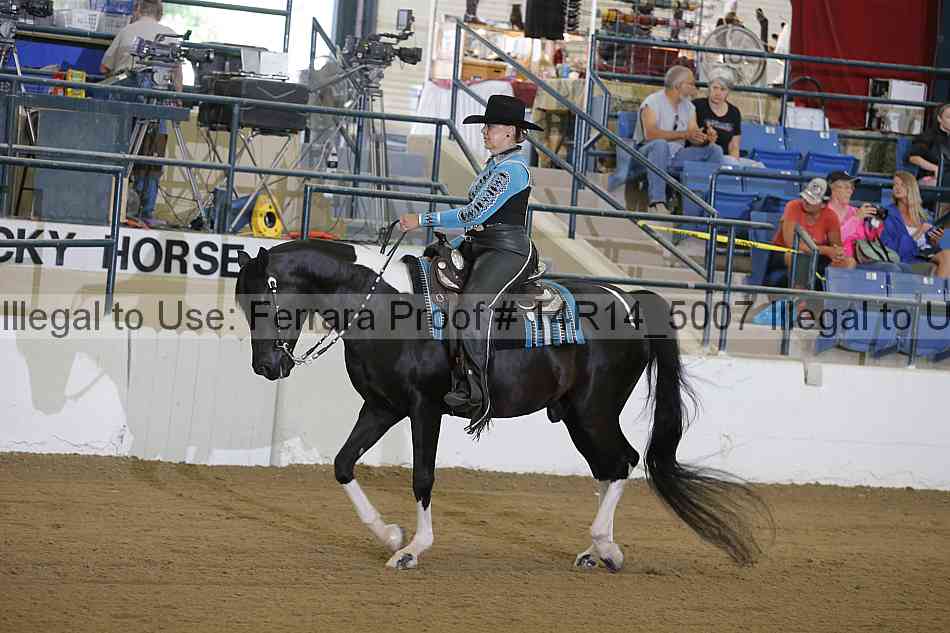 Proof 14r14_5007