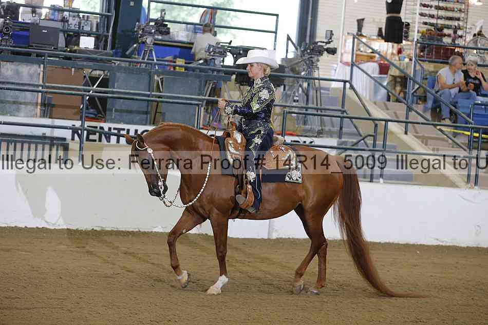 Proof 14r14_5009