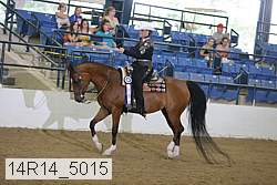 14r14_5015 proof