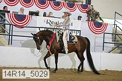 14r14_5029 proof