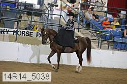14r14_5038 proof