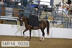 14r14_5039 proof