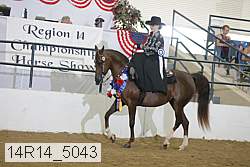 14r14_5043 proof