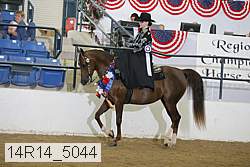 14r14_5044 proof