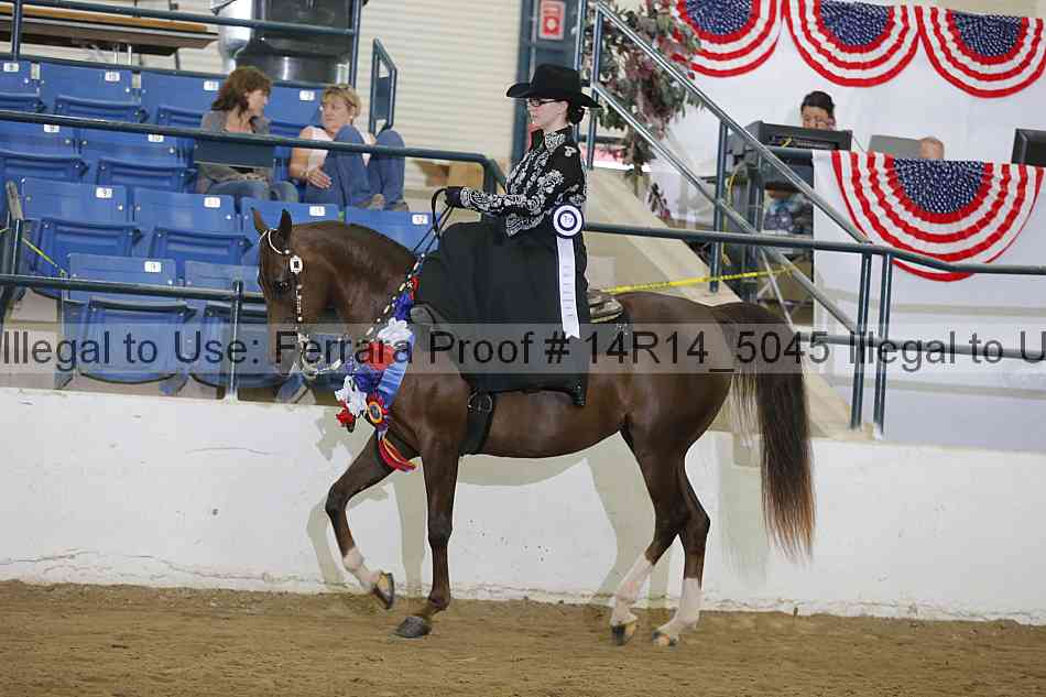 Proof 14r14_5045