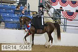 14r14_5045 proof