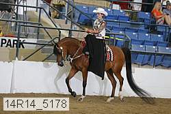 14r14_5178 proof