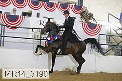 14r14_5190 proof