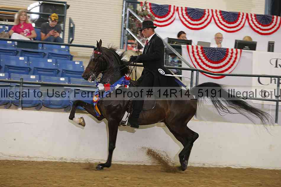 Proof 14r14_5191