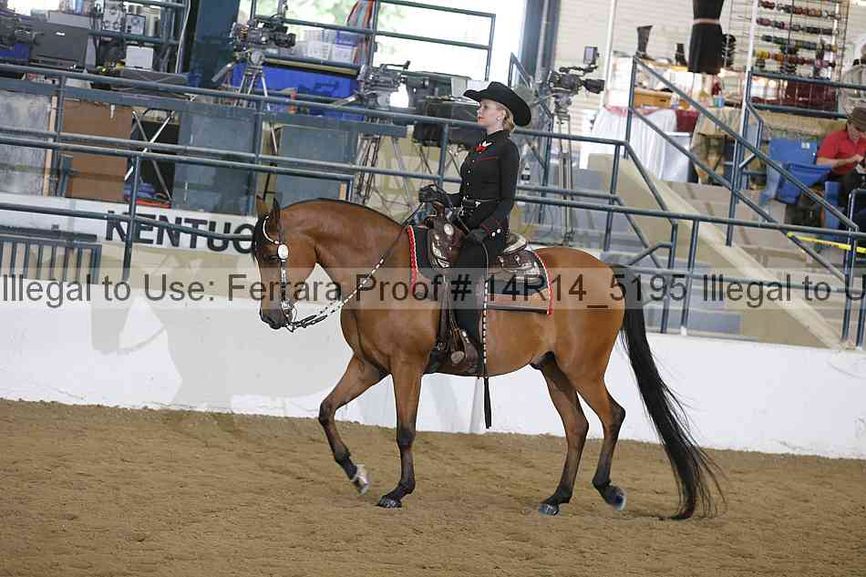 Proof 14r14_5195