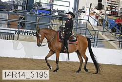 14r14_5195 proof