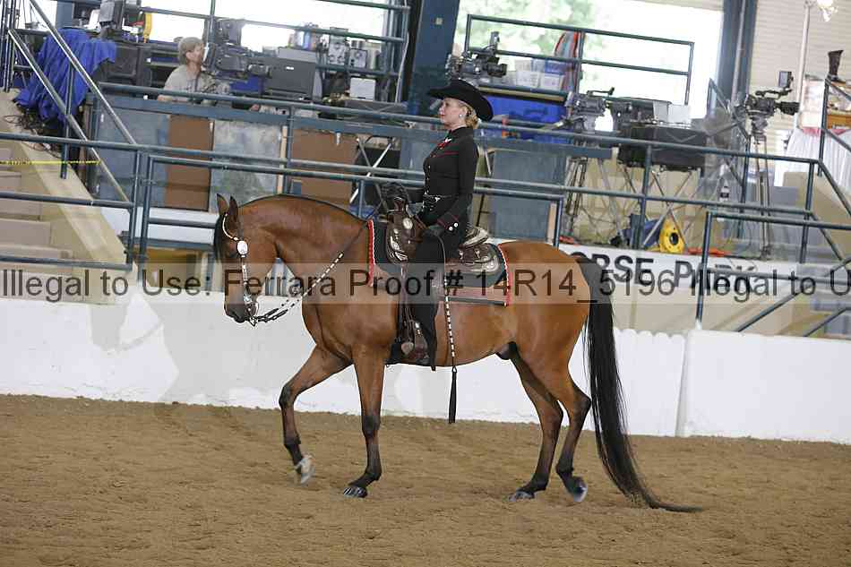 Proof 14r14_5196