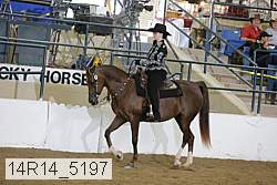 14r14_5197 proof
