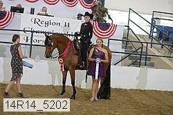 14r14_5202 proof