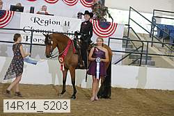 14r14_5203 proof