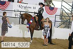 14r14_5205 proof