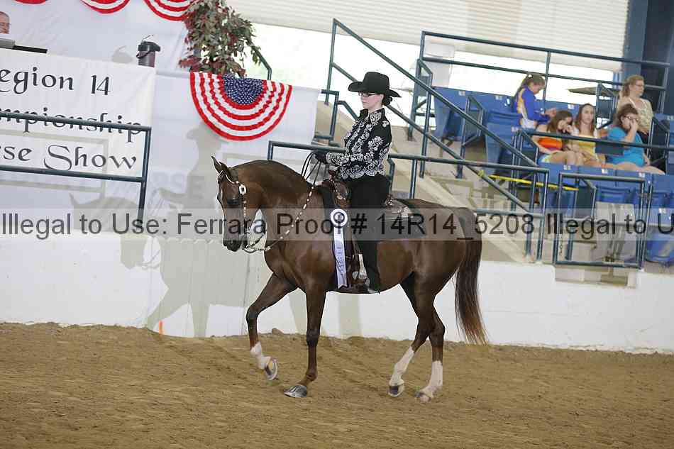 Proof 14r14_5208
