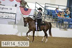 14r14_5208 proof