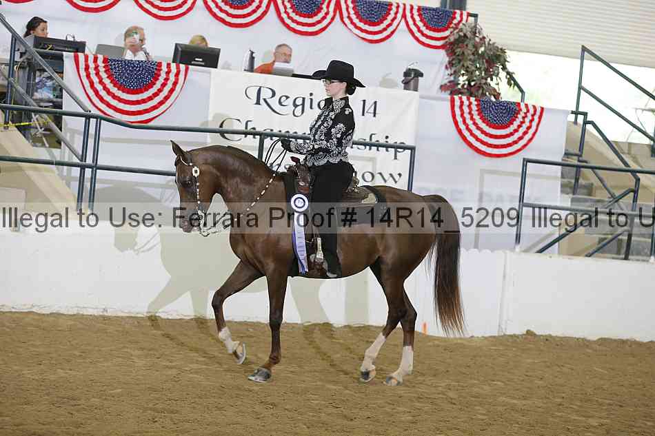 Proof 14r14_5209