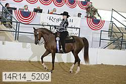 14r14_5209 proof