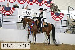 14r14_5217 proof