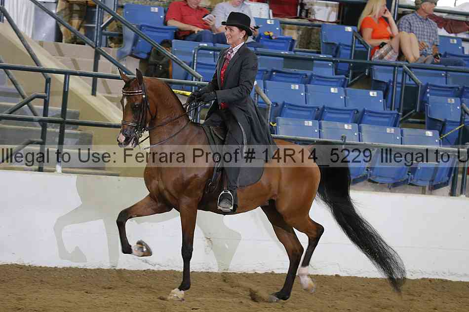 Proof 14r14_5229