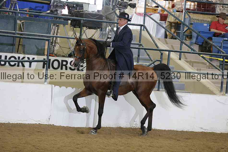 Proof 14r14_5230