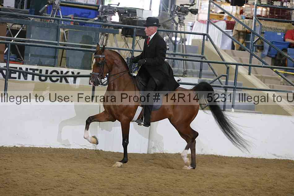 Proof 14r14_5231