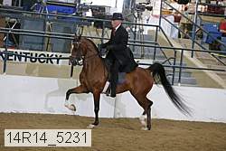14r14_5231 proof