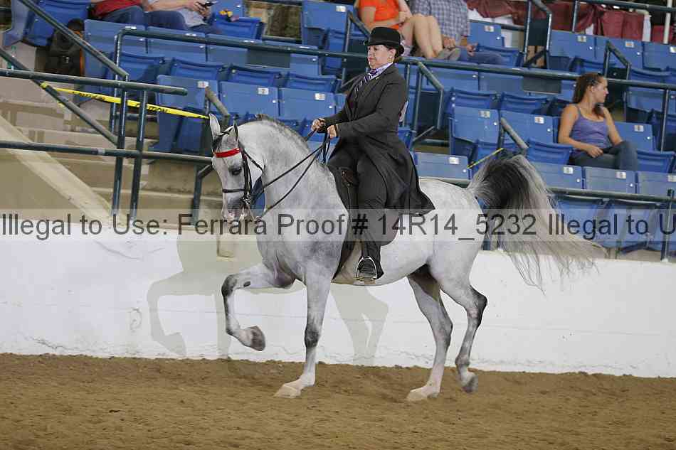 Proof 14r14_5232