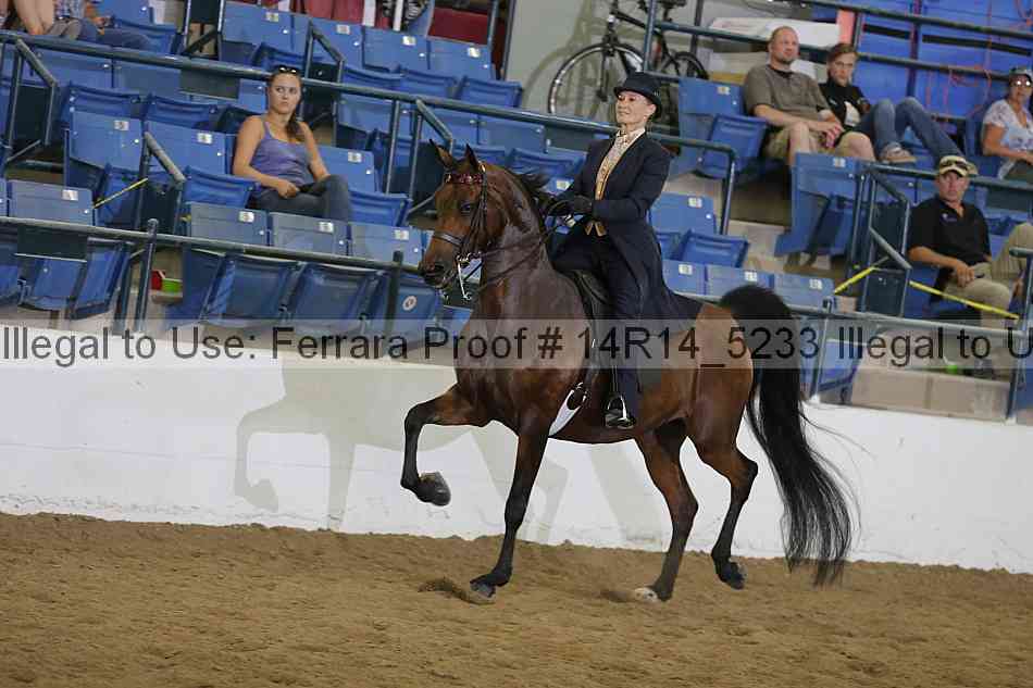Proof 14r14_5233