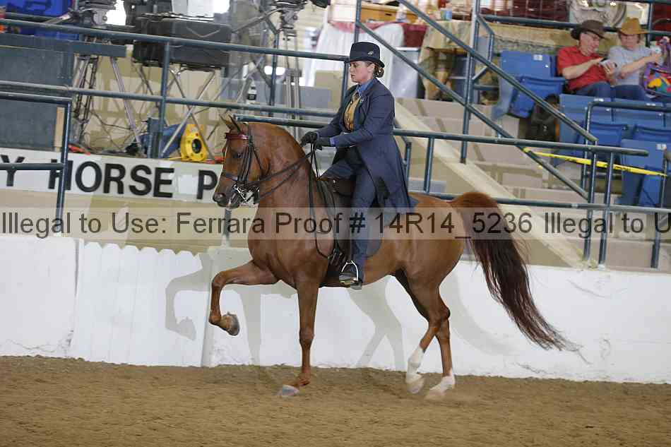 Proof 14r14_5236