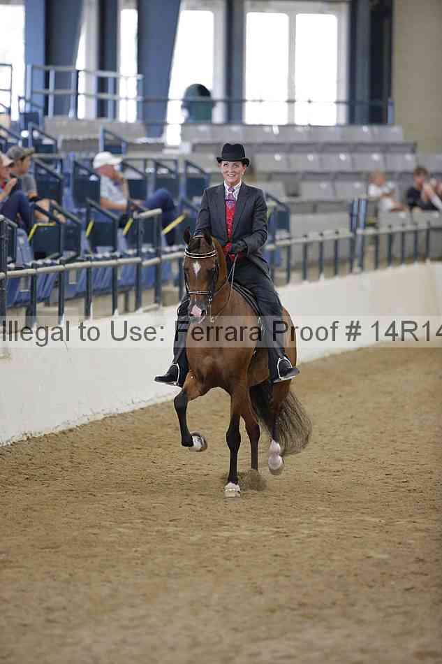 Proof 14r14_5237