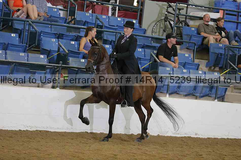 Proof 14r14_5239