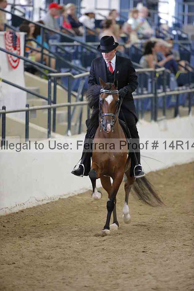Proof 14r14_5241